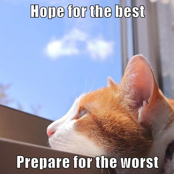 hope for the best, prepare for the worst