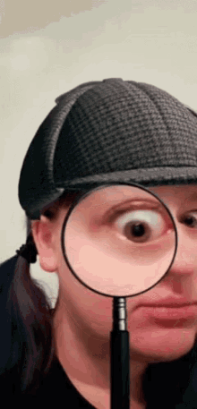 investigate